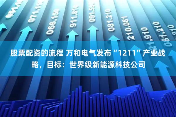 股票配資的流程 萬和電氣發布“1211”產業戰略，目標：世界級新能源科技公司